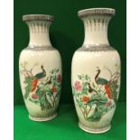 A pair of Chinese porcelain vases, polychrome decorated with Pea Fowl amongst blossom,
