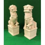 Two 19th Century Chinese blanc-de-chine figures of temple lions,