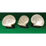 19th Century polished shell ornaments one decorated with a chick amongst foliage,