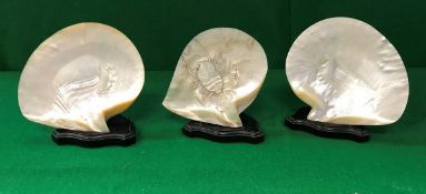 19th Century polished shell ornaments one decorated with a chick amongst foliage,