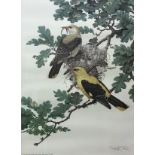 After Axel Amechastegui "Golden Orioles" limited edition print no'd 86/250, signed lower right,