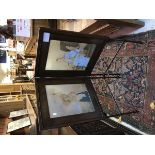 A Circa 1900 continental painted glass two fold screen