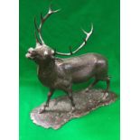 MICHAEL COOPER "Stag", limited edition bronze No'd.
