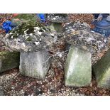 Two staddle stones and tops