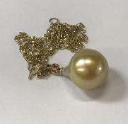 A single South Sea pearl necklace on cha