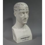 A reproduction Phrenology head,