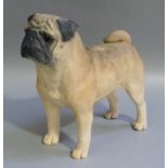 A North Light large sculpture of a pug by Godfrey, Limited Edition No 21, dated 1987 bearing