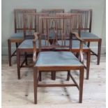 A set of six Edwardian dining chairs, including one carver (6)