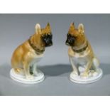 A pair of Russian pottery boxer dogs sitting on oval plinth bases