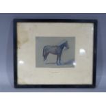 F M Norman c.1930s 'Playmate' dark chesnut saddled, pastel and watercolour, signed and dated 1932 to