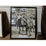 An Original Press Photograph Of The Queens Racehorse "Agreement" With Jockey Harry Carr, Winner Of