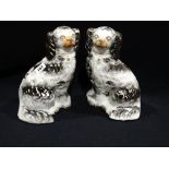 A Pair Of Staffordshire Pottery Black & White Seated Dogs 10" High