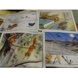 A Near Complete Folder Of Colour Schoolroom Plates, "The Enid Blyton Nature Plates" Drawn By Eileen