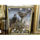 A Victorian Taxidermy Case Of Blackbirds & Robins