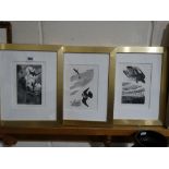 Three Bookplate Engravings By Charles Tunnicliffe To Illustrate Henry Williamson’s The Peregrine`s
