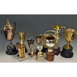 Motor Racing - Large Collection of Trophies and Awards from the Career of Martin Leach - Martin