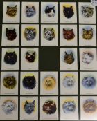 Player's Cigarette Cards to include 'Cats' a series of 24 complete, framed, plus British Naval Craft