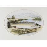 Rev W Houghton "British Fresh Water Fishes" - collection of 7x original fishing coloured plates