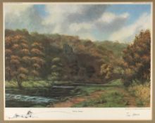 Tim Havers signed ltd ed large coloured fishing print - titled "The Dove, Dovedale" signed in pencil