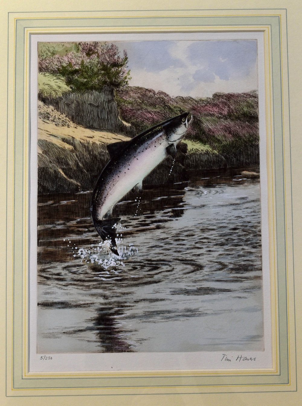 Pair Signed Ltd Ed Fishing Prints: after Tim Havers depicting a leaping Sea Trout and a leaping - Image 2 of 2