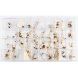 Trout Flies: A set of J W Dunne flies contained in a compartmented plastic box. Thirty-six