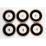 Set of 6 decorative fishing fly wine coasters - with heat resisting tops and embroider rims -