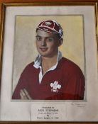 1946 Portrait/pic of Neath & Wales rugby player Rees Stephens: Large 20" x 16" attractive coloured