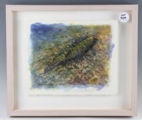 Armstrong, Robin (British) "Winter Brown Trout" water colour signed and dated by the artist Jan '