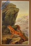 India – In Fancied Security Coloured Lithograph c.1905 depicting Indian Tigers after a painting by
