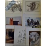 Large selection of Dog Prints: Featuring various makes all mounted ready for framing (23)