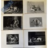 Sir Edwin Landseer - Collection of various engravings featuring mostly dogs and other animals 37 x