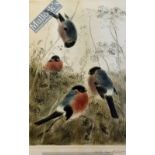 Nachlass Meyer Eberhardt Signed Print of four birds in the garden signed boldly in pencil f & g 66 x