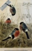 Nachlass Meyer Eberhardt Signed Print of four birds in the garden signed boldly in pencil f & g 66 x