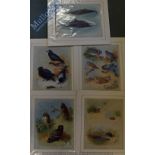 A Thornburn - Prints Featuring Birds, Dolphins etc mounted ready for framing 40 x 35cm (5)