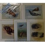 A Thornburn - Prints Featuring Seals, others, Birds mounted ready for framing 40 x 35cm (5)