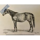 Juliet McLeod 1917 – 1982 “Pongo Lass” Signed Sketch - Portrait of a Horse original pencil sketch