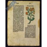 A Leaf From What Is Probably One Of The Earliest Printed Natural History Books 1489 - A sample of an