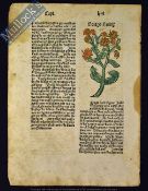 A Leaf From What Is Probably One Of The Earliest Printed Natural History Books 1489 - A sample of an