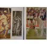 Cricket – Worcestershire County Cricket Club Signed Newspaper and Magazine Cuttings to include Tom