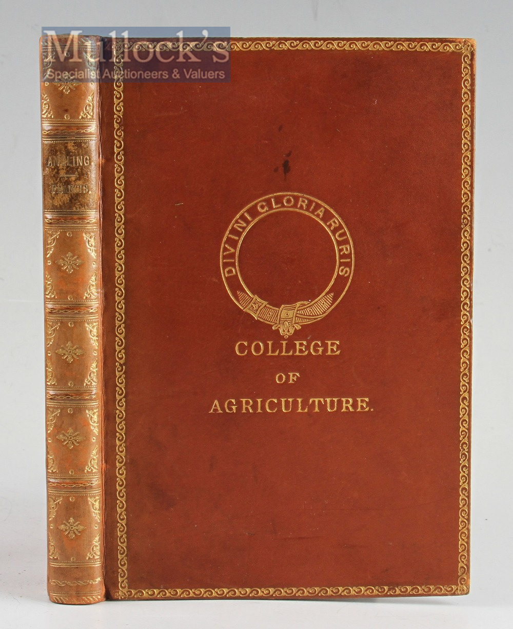 Fishing Book - Francis, Francis - “Angling” 1883, 2nd Ed, London, full calf binding with gold