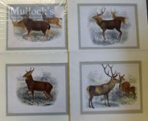 Hand Coloured Lithographs - From Philip “Book of Anteloges” circa 1900 40 x 36cm mounted (4)