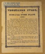 c.1830 Broadside ‘Vegetable Ivory or Nuts of the Ivory Plant’ A. Shand, London printers, a