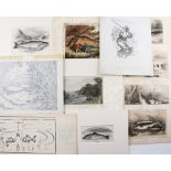 Selection of early Fishing prints and engraving, Various sized to include fish, fishing scenes and