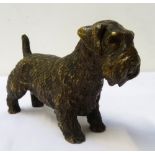 BRONZE FIGURE OF A CESKY TERRIER the standing figure with textured fur detail overall and erect