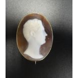 SHELL CAMEO BROOCH depicting a male head in profile, in unmarked gold mount, 4.8cm high