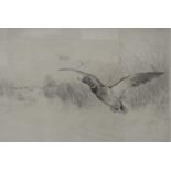 JACKSON SIMPSON (Scottish, 1893-1963) Rising, etching, signed, 17cm x 22.7cm, bearing 'Hugo Lang &