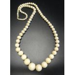 GRADUATED IVORY BEAD NECKLACE approximately 82cm long