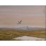 JOHN J HOLMES Mallard in flight, watercolour, signed, 33cm x 42cm