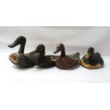 FOUR VINTAGE CARVED AND PAINTED DECOY DUCKS naturalistically modelled and decorated, ranging in