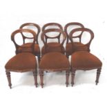 SET OF SIX MID VICTORIAN DINING CHAIRS with balloon backs above shaped stuffover seats, standing